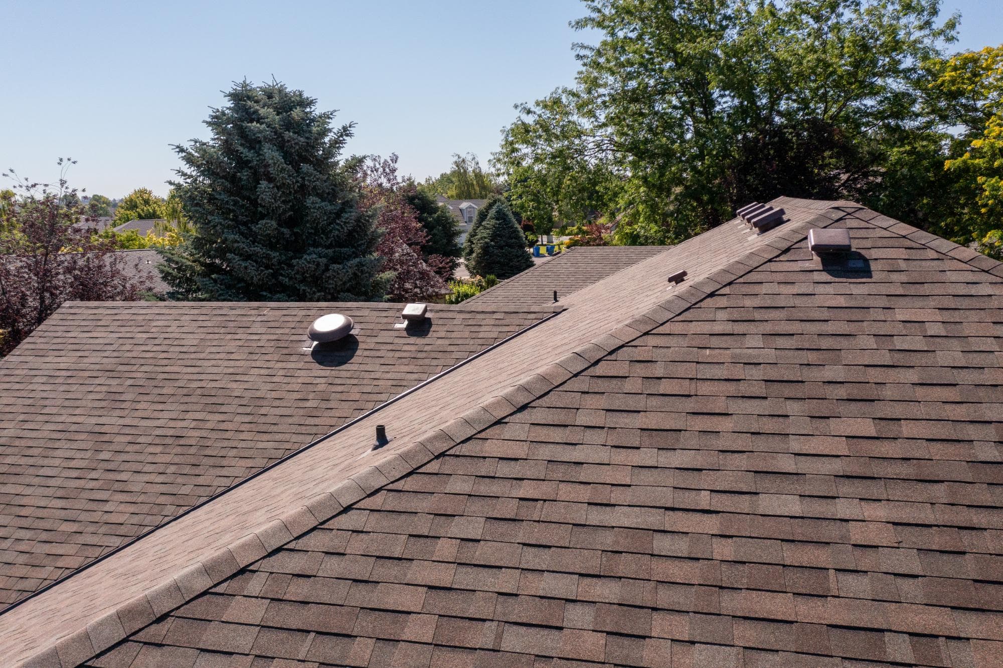 Close-up of an asphalt shingle roof